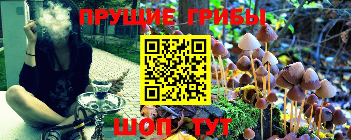 Галлюциногенные грибы MAGIC MUSHROOMS Электросталь
